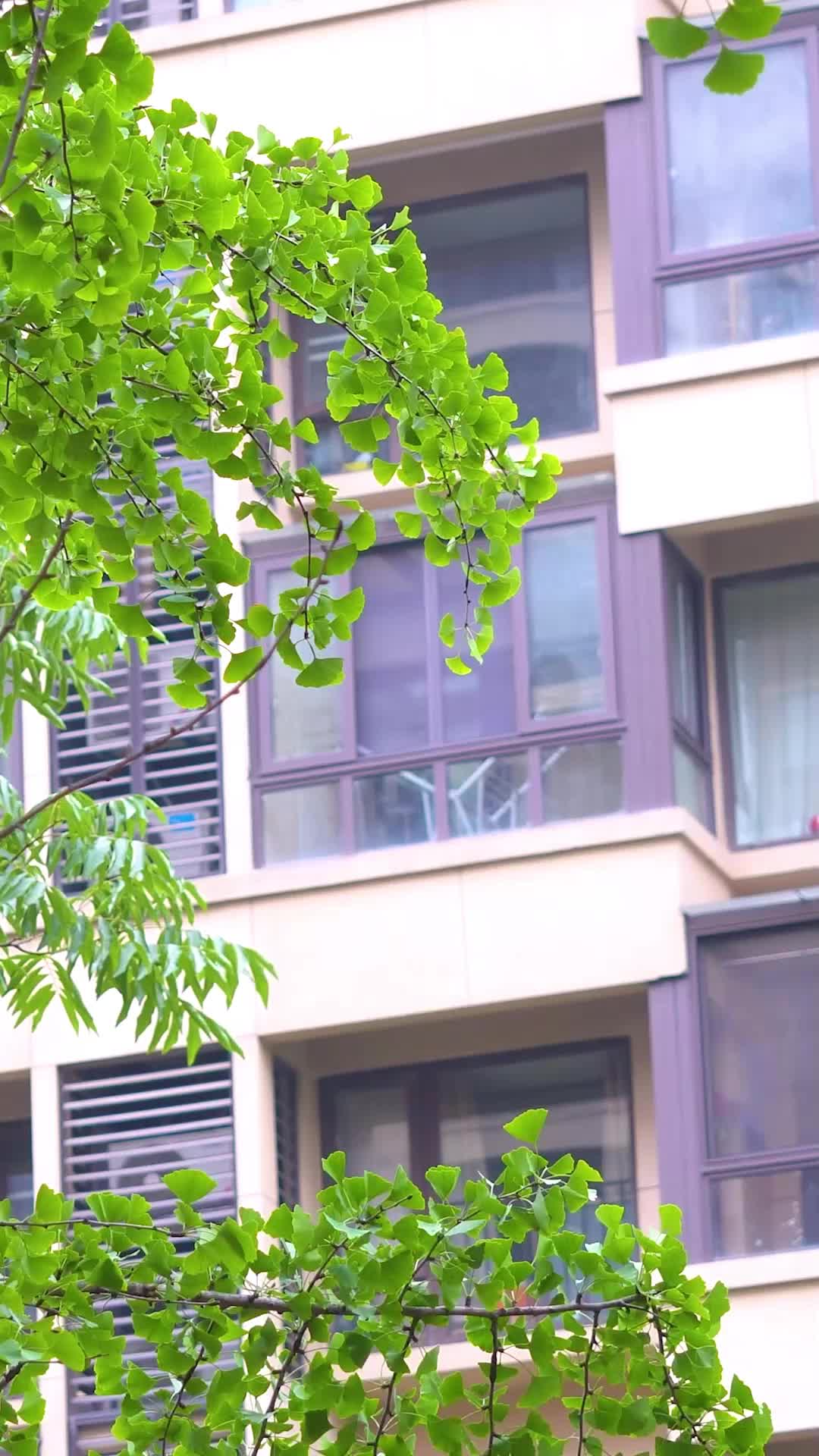 18화 - 기억 리셋 로맨스